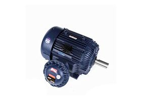 Marathon Electric 405TTGS6589