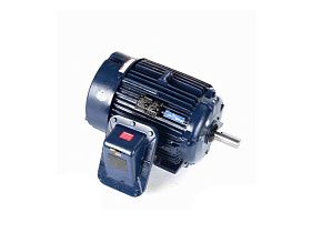 Marathon Electric 286TTGN16546