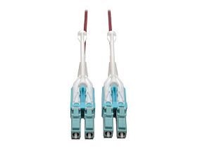 Tripp-Lite N821-01M-MG-T