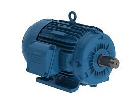 WEG Electric 01018ET3E215T-W22G