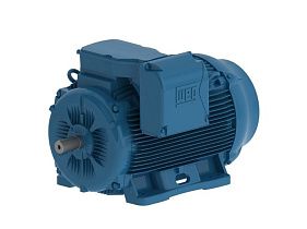 WEG Electric 13236ET3Y315S/M-W22
