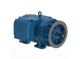 WEG Electric 30018OT3H447/9TSD-W4