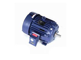 Marathon Electric W558