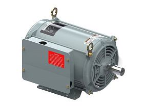 Marathon Electric 215TBDW7079