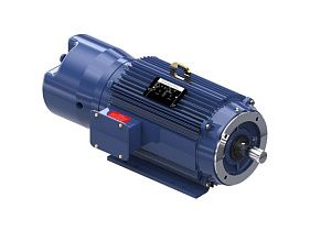 Marathon Electric 213TTTL16038