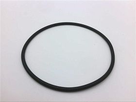 Уплотнительное кольцо 151117 PENTEK полипропиленовое