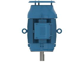 WEG Electric 01518ET3HR254TC-W22