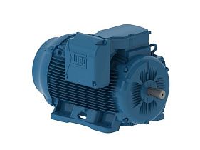 WEG Electric 12509ET3G447T-W22