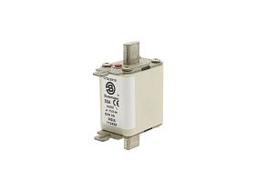 Bussmann 170L5819