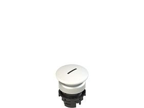 Pizzato E2 1PL2F249L2