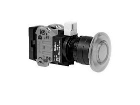 IDEC HW1L-M4F11QD-R-24V