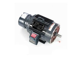 Marathon Electric 182TTTL7034