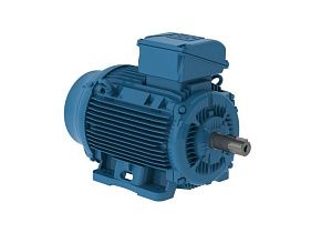 WEG Electric 10018ET3E405TF3-W22