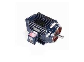 Marathon Electric 213THTS8038