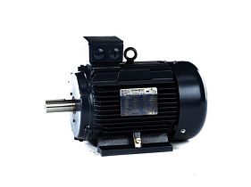 Marathon Electric R431A