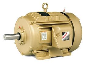 Baldor-ABB Motors EFM2394T