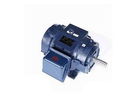 Marathon Electric 284TTDP7221