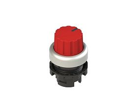 Pizzato E2 1SL43ECH39AB