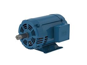 WEG Electric 00518OT3E184TF2