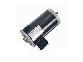 Marathon Electric 145TTDR16359