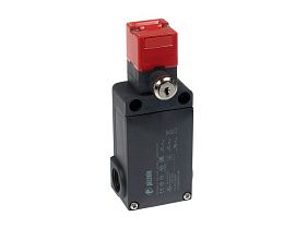 Pizzato FS 2998D024-M2