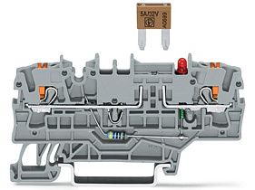 Wago 2202-1981/1000-449