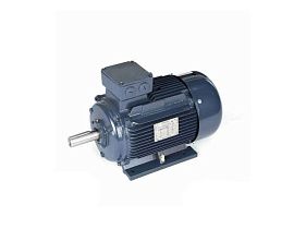 Marathon Electric R335A