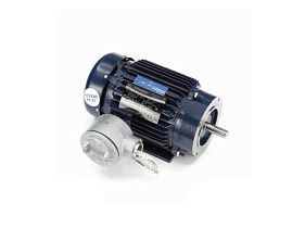 Marathon Electric 145TTGN6536