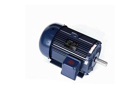 Marathon Electric 256TTFL16002