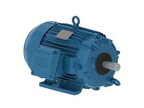 00589EP3PCT215V2F1-W