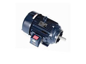 Marathon Electric Y598