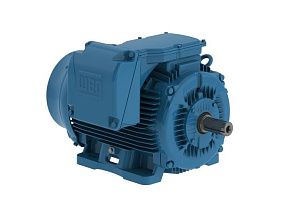 WEG Electric 25018ET3GKD449T-W22