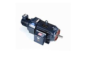 Marathon Electric 286THFPA8038