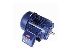 Marathon Electric W591