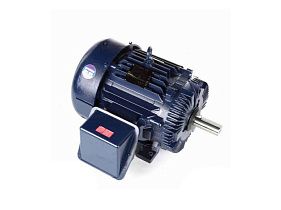 Marathon Electric L420A