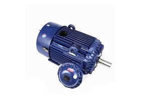 Marathon Electric 449TTGS16537