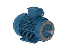 WEG Electric 00736ET3E213TCF3-W22