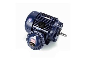 Marathon Electric 365TTGS16540