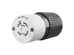 Bryant Electric 71620NC