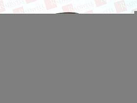 Регулирующий клапан Артикул VT2312G13A020 от производителя SCHNEIDER ELECTRIC