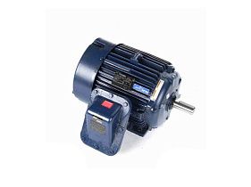 Marathon Electric U029A