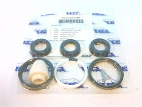 30222 Ремонтный комплект для насоса от CAT PUMPS