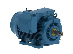 WEG Electric 12509ST3QIERB447T-W2