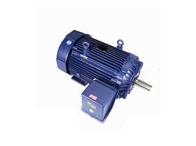 Marathon Electric E771