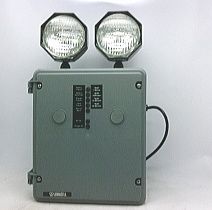 Аккумуляторный блок промышленный RGS72DTF2LHQ8WATNLC, 6В DC/120В AC, 22А, 8Вт