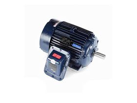 Marathon Electric 286TTGN16533