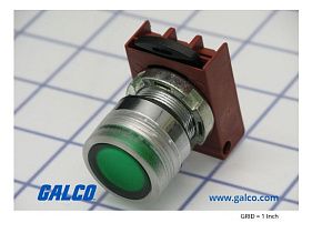 Springer Controls N5CPLVGD-PDNVL-10-130vLED