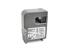 Functional Devices RIBXG21TA