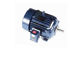 Marathon Electric W561