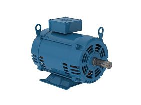 WEG Electric 01018OT3E215TF3